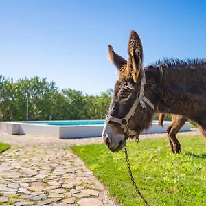  Alojamento de Turismo Rural Burro By Host Wise